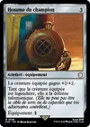 Product image for Heaume du champion
