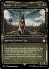 Product image for Dogmeat, Ever Loyal