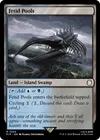 Product image for Fetid Pools