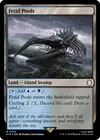 Product image for Fetid Pools