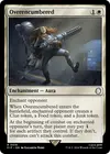 Product image for Overencumbered