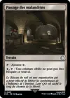 Product image for Passage des malandrins