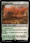 Product image for Bosquets épars