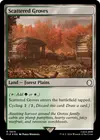 Product image for Scattered Groves