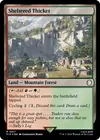 Product image for Sheltered Thicket