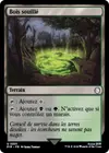 Product image for Bois souillé