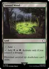 Product image for Tainted Wood