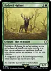 Product image for Radcerf vigilant