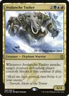Product image for Terrocorne des avalanches