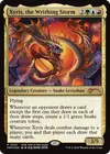Product image for Xyris, la tempête sinuante
