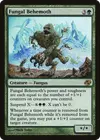Product image for Fungal Behemoth