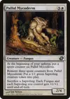 Product image for Pallid Mycoderm