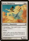 Product image for Avian Changeling
