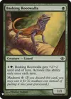 Product image for Basking Rootwalla