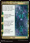 Product image for Binding the Old Gods