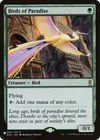 Product image for Birds of Paradise