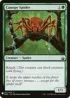 Product image for Araignée de la canopée