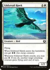 Product image for Eddytrail Hawk