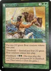 Product image for Grizzly Fate
