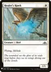 Product image for Healer's Hawk
