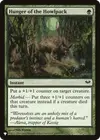 Product image for Hunger of the Howlpack