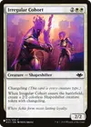 Product image for Irregular Cohort
