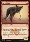 Product image for Jackal Pup
