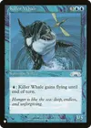 Product image for Killer Whale