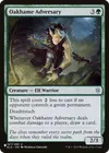 Product image for Oakhame Adversary