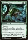 Product image for Tigre riverain