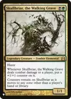 Product image for Skullbriar, the Walking Grave