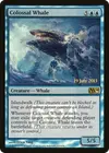 Product image for Colossal Whale