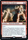 Product image for Thunderkin Awakener