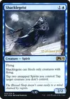 Product image for Shacklegeist