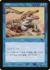 Product image for Crocodile des bancs de sable