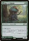 Product image for Florhèdron enchevêtré // Val Enchevêtré