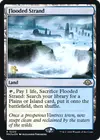 Product image for Flooded Strand