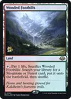 Product image for Wooded Foothills