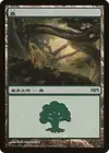Product image for Forêt