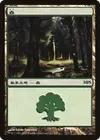 Product image for Forest