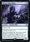 Product image for Ninja à la paume mordante