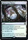 Product image for Razorverge Thicket