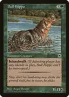 Product image for Bull Hippo