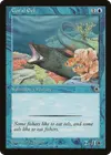 Product image for Coral Eel
