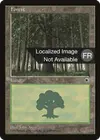 Product image for Forêt