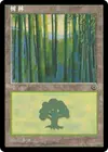Product image for Forêt