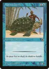 Product image for Horned Turtle