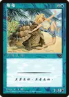 Product image for Tortue cornue
