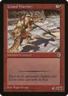 Product image for Lizard Warrior