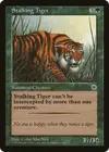 Product image for Stalking Tiger